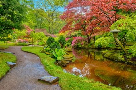 Parque jardín japonés de clingendael la haya países bajos Foto Premium