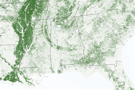 Black Belt Prairie