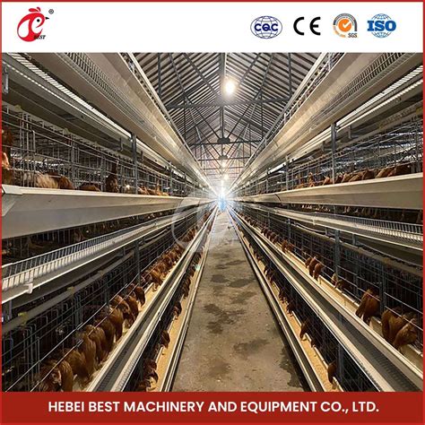 Bestchickencage H Type Breeder Cage Layer Cage China Chicken Layer