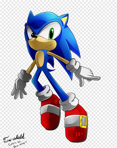 Sonic The Hedgehog Amy Rose Sonic Knuckles Espio The Chameleon Sonic