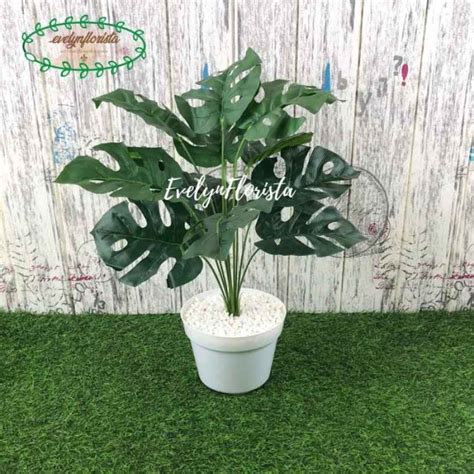 Jual Pohon Daun Monstera X Semi Latex Artificial Pot Dasar Putih