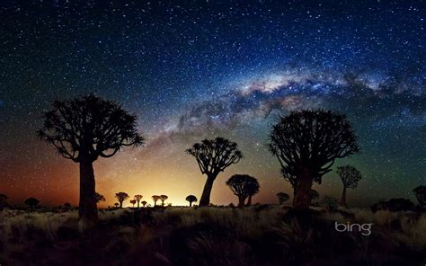 African grasslands night sky-May 2013 Bing wallpaper Preview | 10wallpaper.com