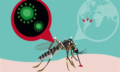 Desarrollan La Primera Vacuna Contra El Zika Y El Dengue UNAM Global