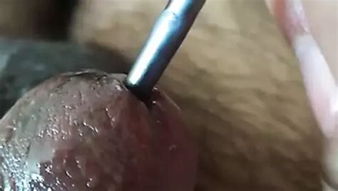 Free Peehole Play Gay Porn Videos 3 XHamster