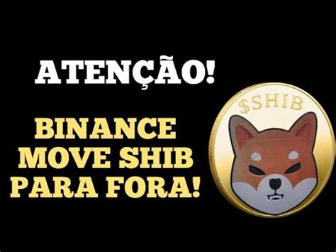 SHIBA INU BINANCE DANDO UM VOTO DE CONFIANÇA binance shibainu