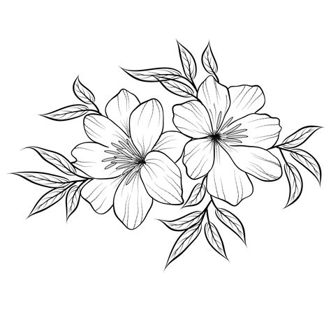 Flower Drawings In Black And White