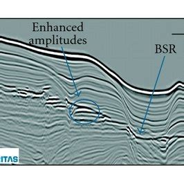 Section Ur From Pelotas Basin Bsr Present At Survey Showing