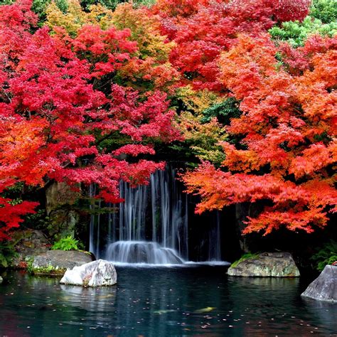 Cool Autumn Waterfall iPad Air Wallpapers Free Download