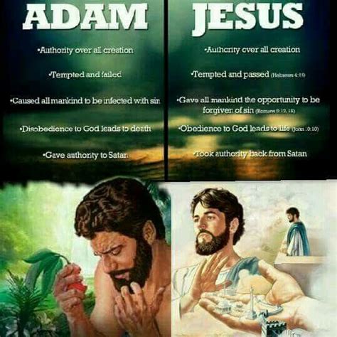 Comparison Adam Jesus Jw Bible Bible Words Bible Truth Bible