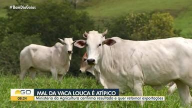 Bom Dia GO Ministério da Agricultura diz que caso de vaca louca é