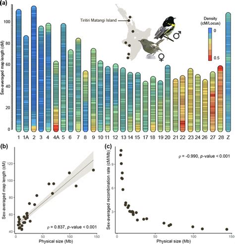 A High Density Linkage Map Reveals Broad And Fine Scale Sex