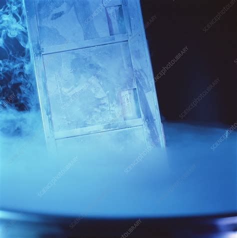Umbilical cord blood storage - Stock Image - M532/0607 - Science Photo ...