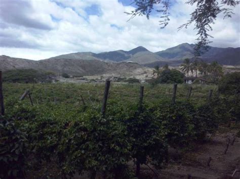 Terreno En Venta En Trapichillo Catamayo Loja U D 150 000