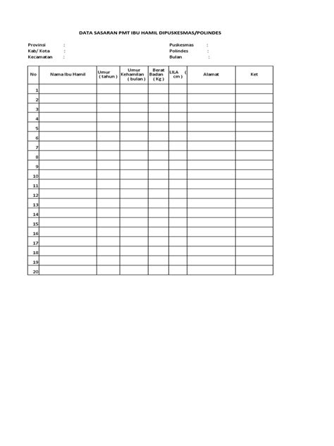 Format PMT Ibu Hamil Dan Balita BISKUIT | PDF