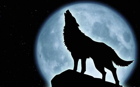 Howling Wolf Moon Wallpaper