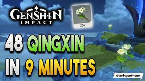 Genshin Impact Guide: How to obtain and use the Qingxin