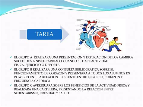 Actividad Fisica Y Frecuencia Cardiaca Ppt