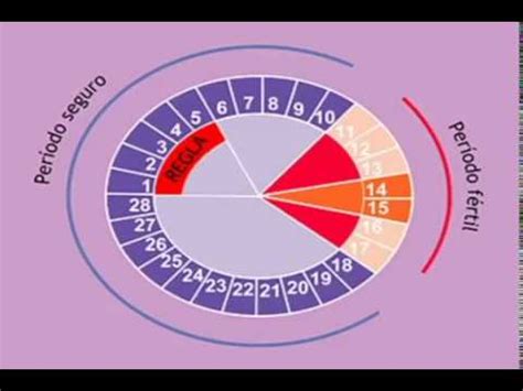 Salud: Métodos anticonceptivos naturales - YouTube