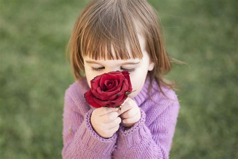 Fotos gratis planta niña flor pétalo Rosa primavera rojo niño