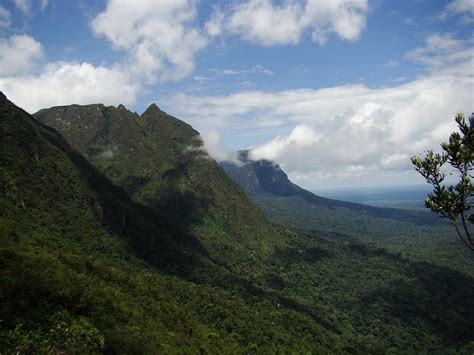 O El Dorado é aqui Parque Estadual da Serra do Aracá Barcelos