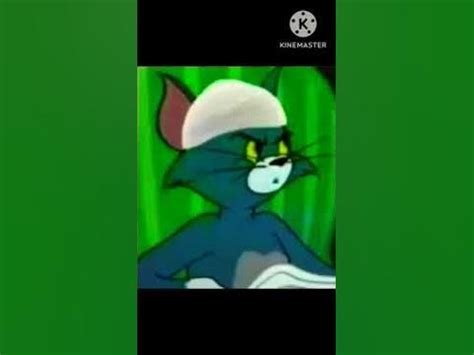 قصص الشيخ توم والشيخ جيري - YouTube