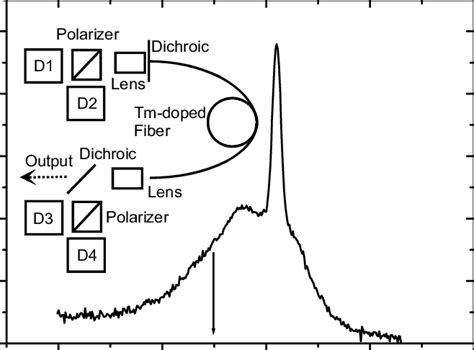 Absorption cross section of the 3 H 5 level measured from a Tm 3 ...