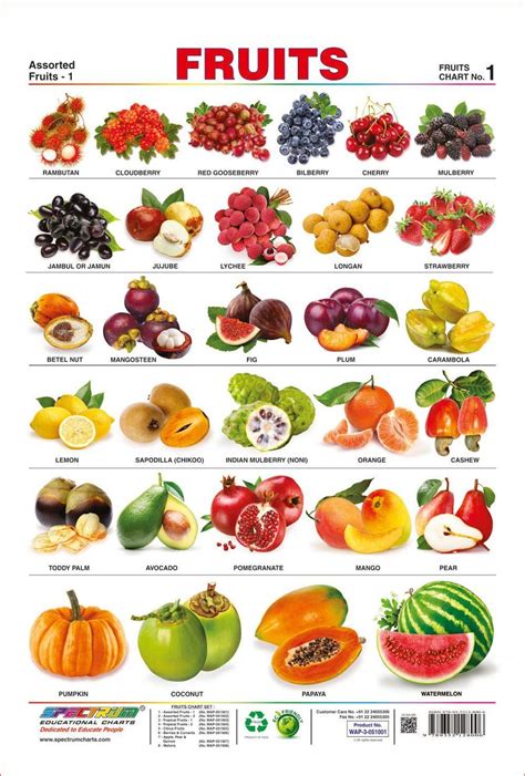 Vegetable Chart For Kids