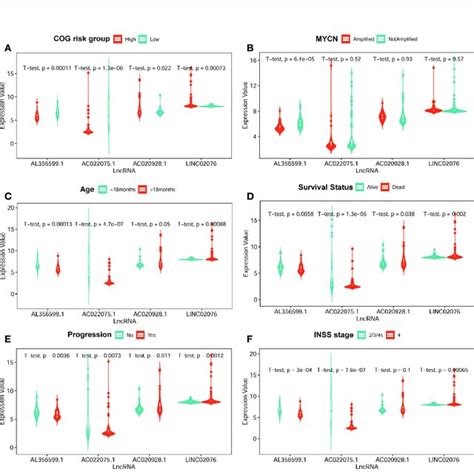 The Average Expression Levels Of The Four Lncrna Between Different Download Scientific Diagram