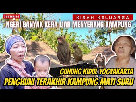 NGERISERANGAN MONYET LIAR RAWAN LONGSOR PENGHUNI TERAKHIR KAMPUNG