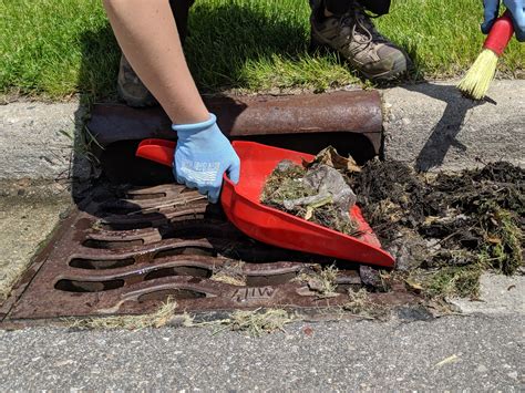 Lower Grand River Organization of Watersheds News Adopt a Drain Safety