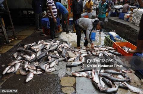 12 Fish Market At Ganesh Peth In Pune Stock Photos High Res Pictures