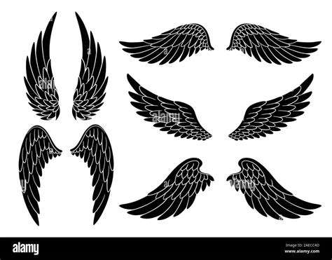 Set Of Hand Drawn Bird Or Angel Wings Of Different Shape In Open