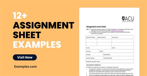 Assignment Sheet - 12+ Examples, Format, Pdf