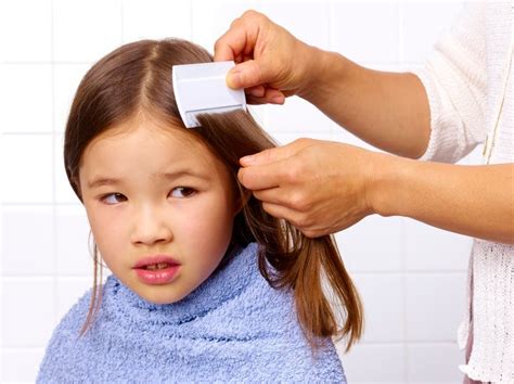 Head Lice Everything Parents Need To Know About Nits Huffpost Uk Parents