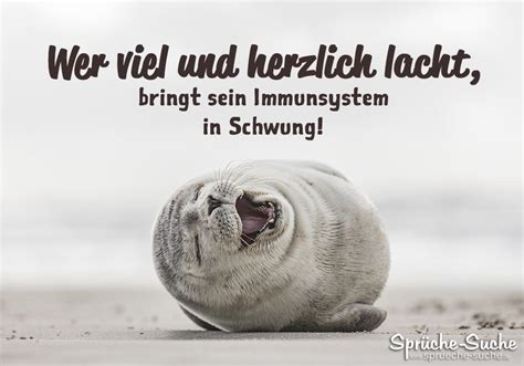 78 Lebensweisheit Humor Lachen Spruch Des Tages Sjmswing