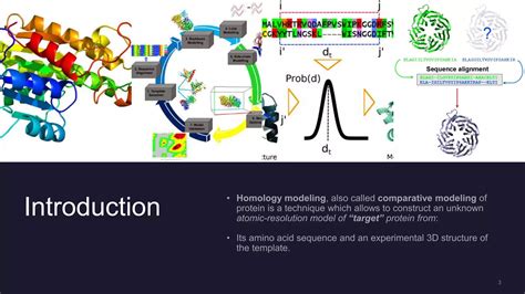 Homology Modeling Of Proteins Ppt Ppt