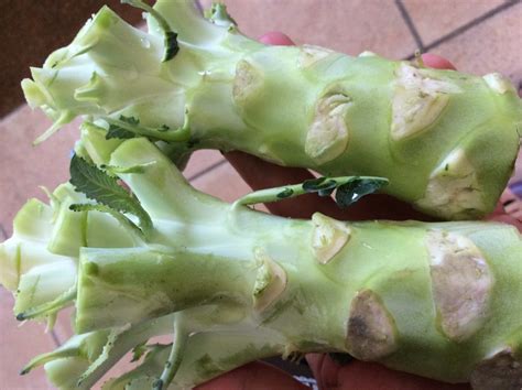 Comment Cuisiner Les Pieds De Brocoli Recettes Anti Gaspillage