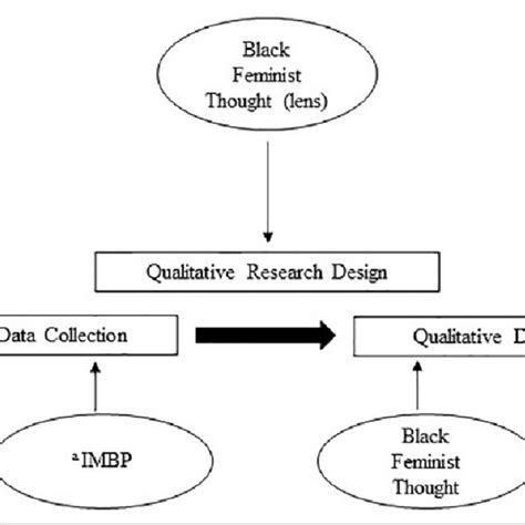 Conceptual Diagram Notes A Imbp Integrative Model Of Behavior