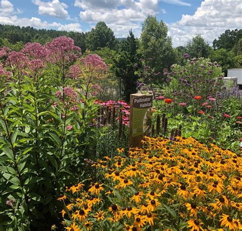 Pollinator Garden Tour Reems Creek Nursery