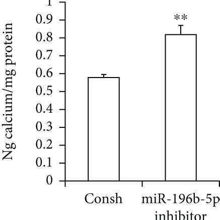 METTL3 Promoted The Osteo Odontogenic Differentiation Of SCAPs Ac