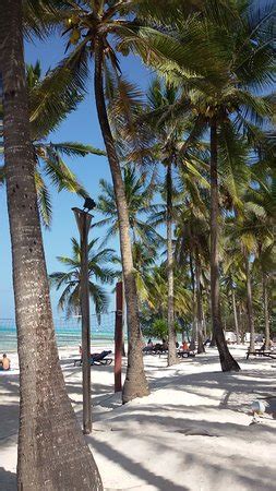 KARAFUU BEACH RESORT AND SPA - UPDATED 2018 Hotel Reviews & Price ...