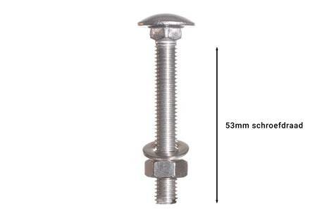 Carriage Bolts Stainless Steel M X Mm Quick Delivery