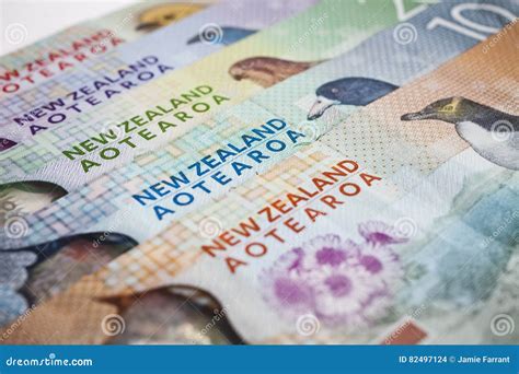 New Zealand Money Stock Photo Image Of Kiwi Investment