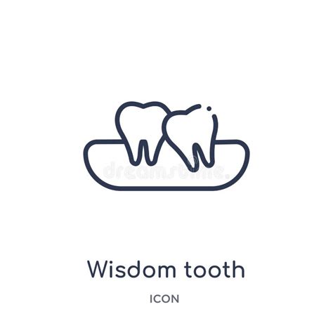 Linear Wisdom Tooth Icon From Dentist Outline Collection Thin Line