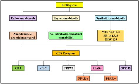 Classification Of Endocannabinoid System Cb Cannabinoid Trpv