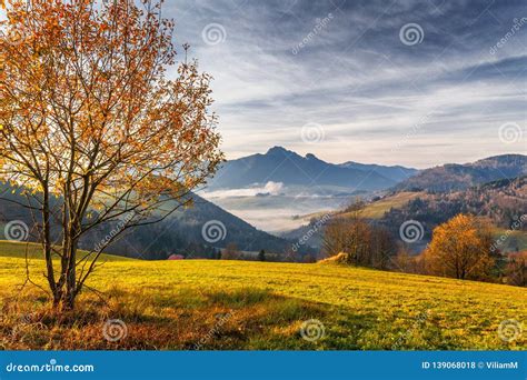 Tree In A Foreground Of Autumn Landscape With Mountains Stock Photo