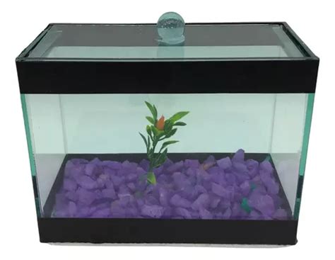 Aquário Beteira Decorado Para Peixe Beta Retangular Brinde Cor Roxo 0