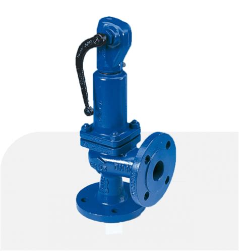 Ari Armaturen Safety Valve Ari Safe P Rame Valve Distributor