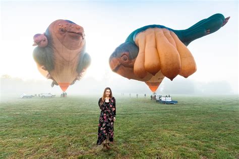 Skywhale Hamilton Gallery