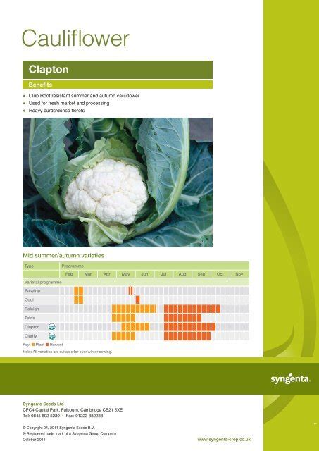 Brochure Pdf Syngenta